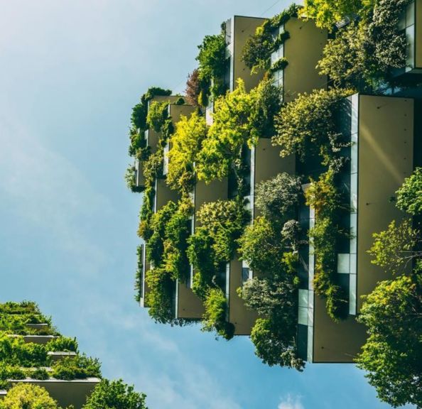 sustain kv sqare.jpg